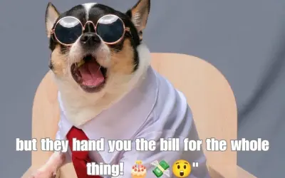 Bộ sưu tập happy birthday meme hài hước khiến bạn bật cười