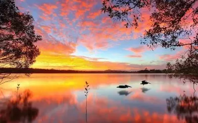 Hình nền cảnh đẹp thiên nhiên sống động từng chi tiết