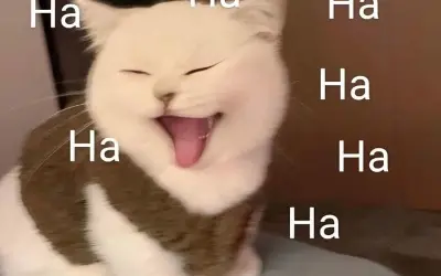 Bộ sưu tập meme ảnh cực hài khiến ai xem cũng bật cười