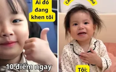 Bộ sưu tập meme cảm ơn hài hước khiến người xem thích thú