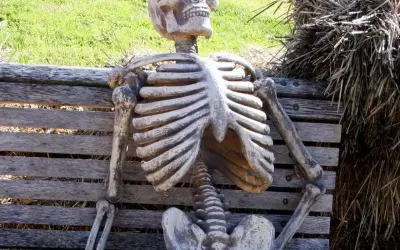 Bộ sưu tập meme chờ đợi hài hước khiến bạn bật cười