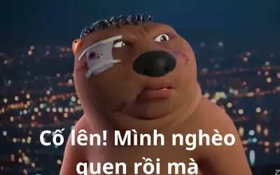 Bộ sưu tập meme cố lên truyền động lực vui nhộn mỗi ngày