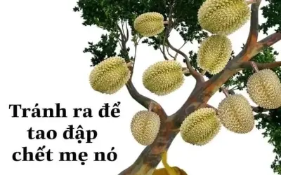 Cười ngất với loạt bắn meme đấm nhau siêu hài hước nhất