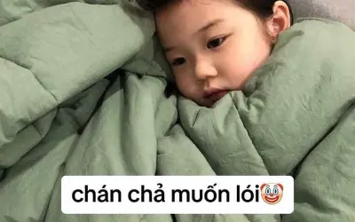 Meme em bé dễ thương khiến cộng đồng mạng cười ngất