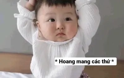 Những meme hoang mang viral nhất khiến cộng đồng phát sốt