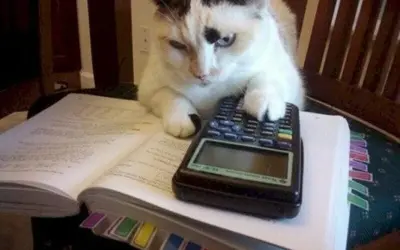 Cười nghiêng ngả với loạt meme học bài cực chân thật