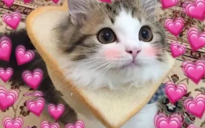 Meme love ngọt ngào hài hước khiến dân mạng phát sốt