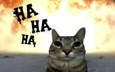 Bộ sưu tập meme mèo cực hài khiến ai xem cũng bật cười