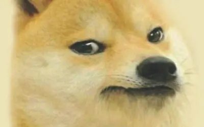 Tổng hợp meme ok độc đáo siêu dễ thương và hài hước