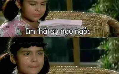 Những ngu meme chế bá đạo hot nhất mạng xã hội hiện nay