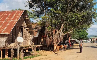 Khám phá vẻ đẹp qua ảnh phong cảnh Đắk Lắk tuyệt đẹp