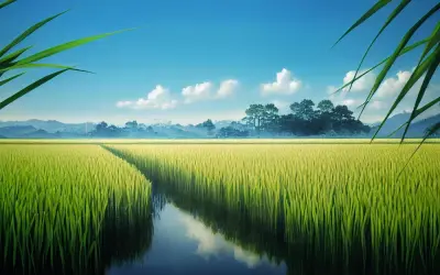 Khám phá vẻ đẹp yên bình qua ảnh tranh phong cảnh đồng lúa