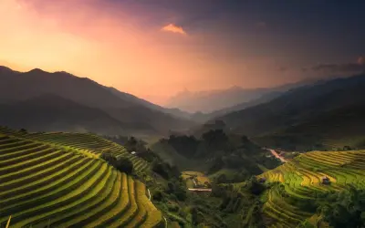 Ảnh tranh phong cảnh ruộng bậc thang đẹp mê hoặc lòng người