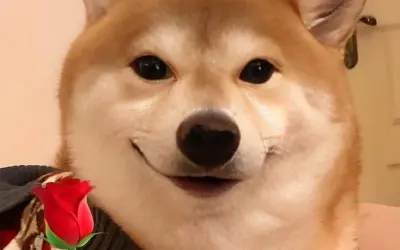 Tuyển chọn vì bạn xứng đáng meme hot trend được yêu thích