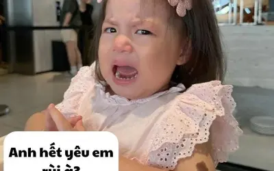Vô tri meme khiến dân mạng dở khóc dở cười cực mạnh