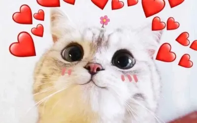 Yêu meme vui nhộn hot trend khiến dân mạng phát sốt