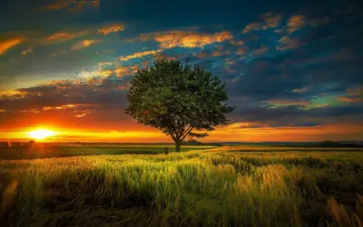 Những hình nền cảnh hoàng hôn tuyệt đẹp khiến ai cũng mê