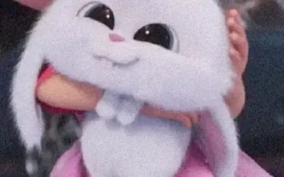 Khám phá những bức ảnh thỏ snowball chất lượng cao tuyệt vời