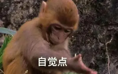 Top ảnh con khỉ meme hài hước khiến dân mạng cười ngất