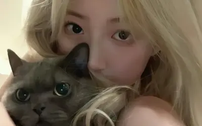 Tuyển tập ảnh gái xinh bên mèo ngọt ngào gây bão cộng đồng