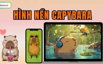 Bộ sưu tập hình nền capybara cute chibi siêu vô tri dễ thương