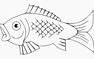 Bộ sưu tập tranh tô màu con cá chép tuyệt đẹp giúp bé yêu thỏa sức sáng tạo