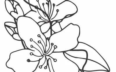 Tổng hợp 30+ mẫu tranh tô màu bông hoa mai ngày Tết cho bé