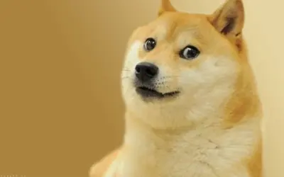 Trọn bộ ảnh chó cute anime siêu cấp dễ thương và hài hước