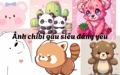 Trọn bộ avatar dễ thương gấu chibi cute đốn tim mọi ánh nhìn