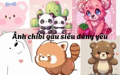 Tuyển tập 30 ảnh gấu trắng cute chibi đẹp ngất ngây năm 2026