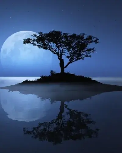 Ngắm nhìn ảnh phong cảnh ánh trăng soi mặt hồ thơ mộng