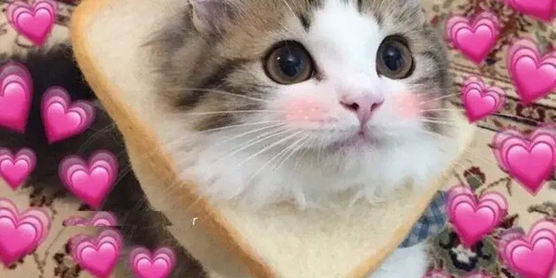 Những ảnh đại diện meme độc lạ khiến dân mạng mê mẩn