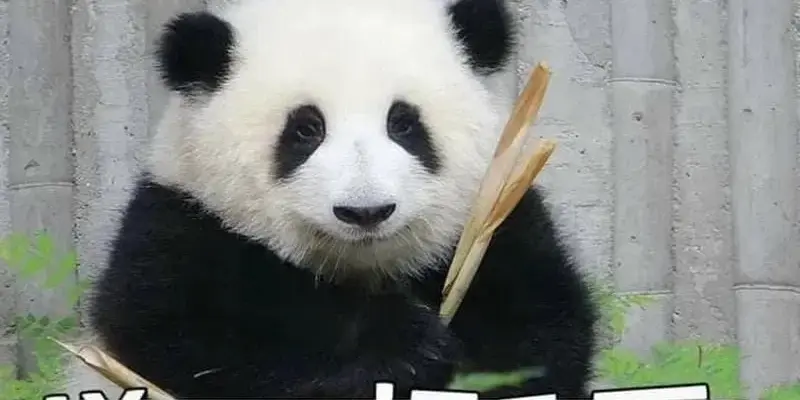 Bộ sưu tập ảnh meme chế hài hước khiến bạn bật cười