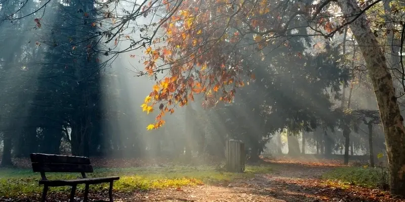 Khám phá bộ sưu tập ảnh phong cảnh đẹp buồn đầy cảm xúc