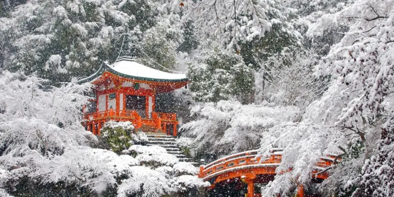 Bộ sưu tập ảnh phong cảnh Nhật Bản đẹp mê hoặc lòng người