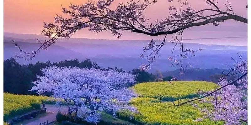 Top avatar thiên nhiên đẹp nhất để thay đổi diện mạo