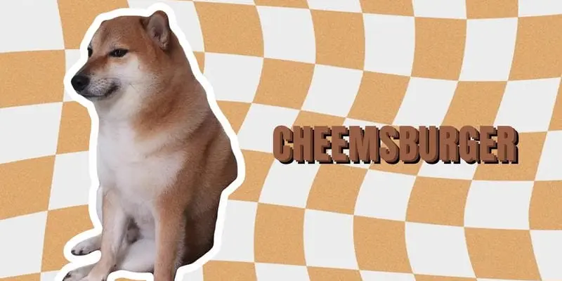 Tuyển chọn cheems meme vui nhộn khiến ai cũng bật cười