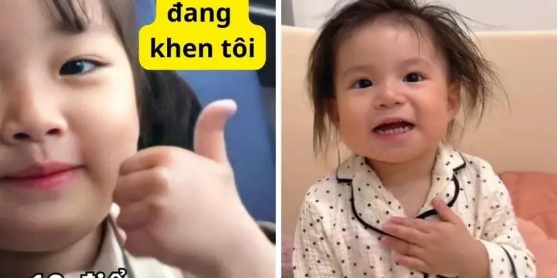 Bộ sưu tập meme cảm ơn hài hước khiến người xem thích thú