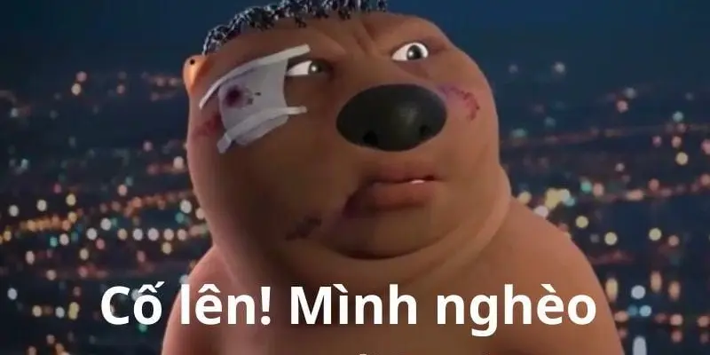 Bộ sưu tập meme cố lên truyền động lực vui nhộn mỗi ngày