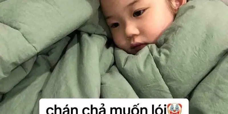 Meme em bé dễ thương khiến cộng đồng mạng cười ngất