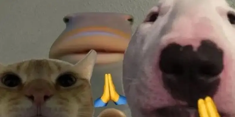 Bộ sưu tập meme mô phật hài hước hot nhất mạng xã hội