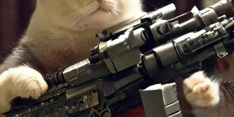 Cười thả ga với loạt meme súng độc đáo cực kỳ sáng tạo