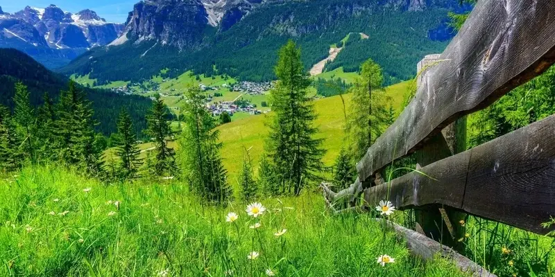 Ngắm nhìn những ảnh phong cảnh mùa xuân rực rỡ sắc màu