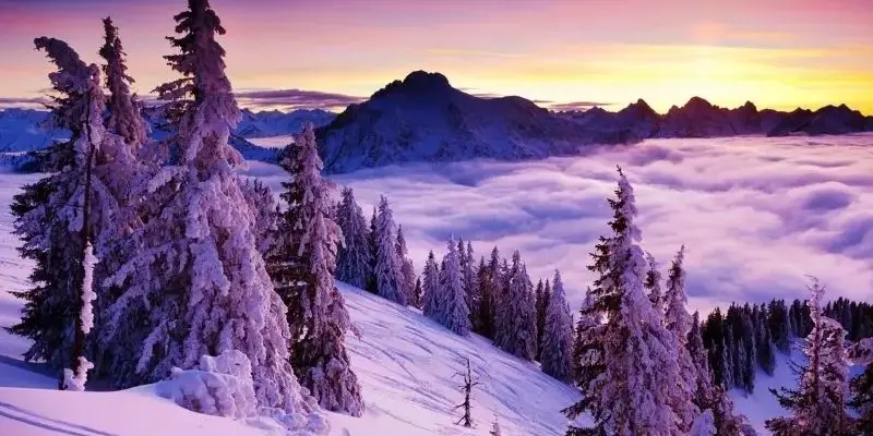 Ảnh phong cảnh tuyết đẹp nhất thế giới bạn không thể bỏ qua