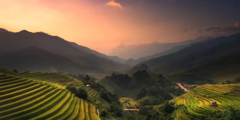 Ảnh tranh phong cảnh ruộng bậc thang đẹp mê hoặc lòng người
