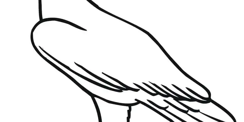 Khám phá bộ tranh tô màu chim đại bàng oai phong cho bé