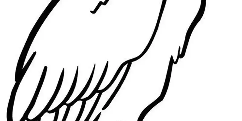 Tranh tô màu con vẹt Nam Mỹ đầy sắc màu cuốn hút bé yêu