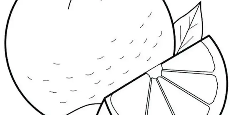 Tranh tô màu quả cam sáng tạo cho trẻ em yêu nghệ thuật