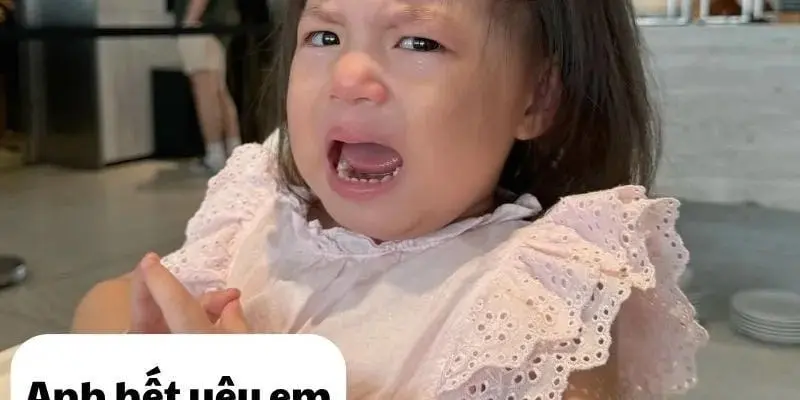 Vô tri meme khiến dân mạng dở khóc dở cười cực mạnh