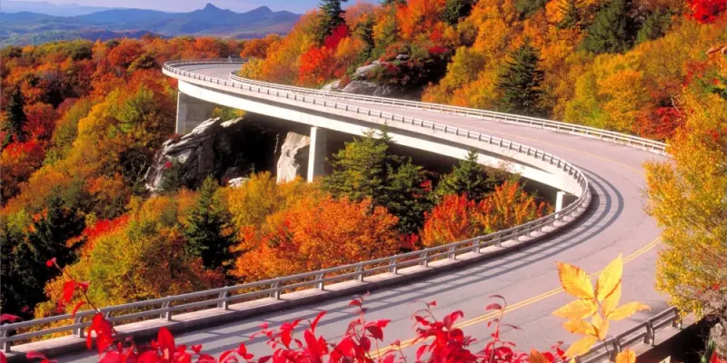 Khám phá bộ ảnh cảnh đẹp mùa thu lãng mạn lung linh